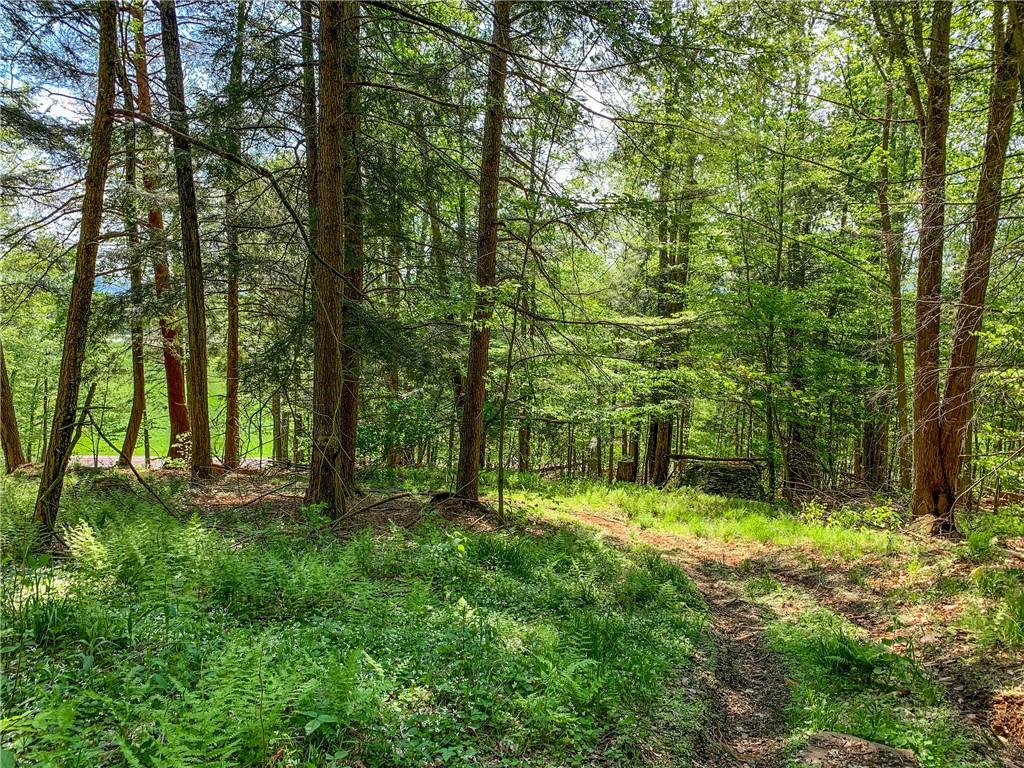 #4 photo, County Highway 44, Other , NY 13849