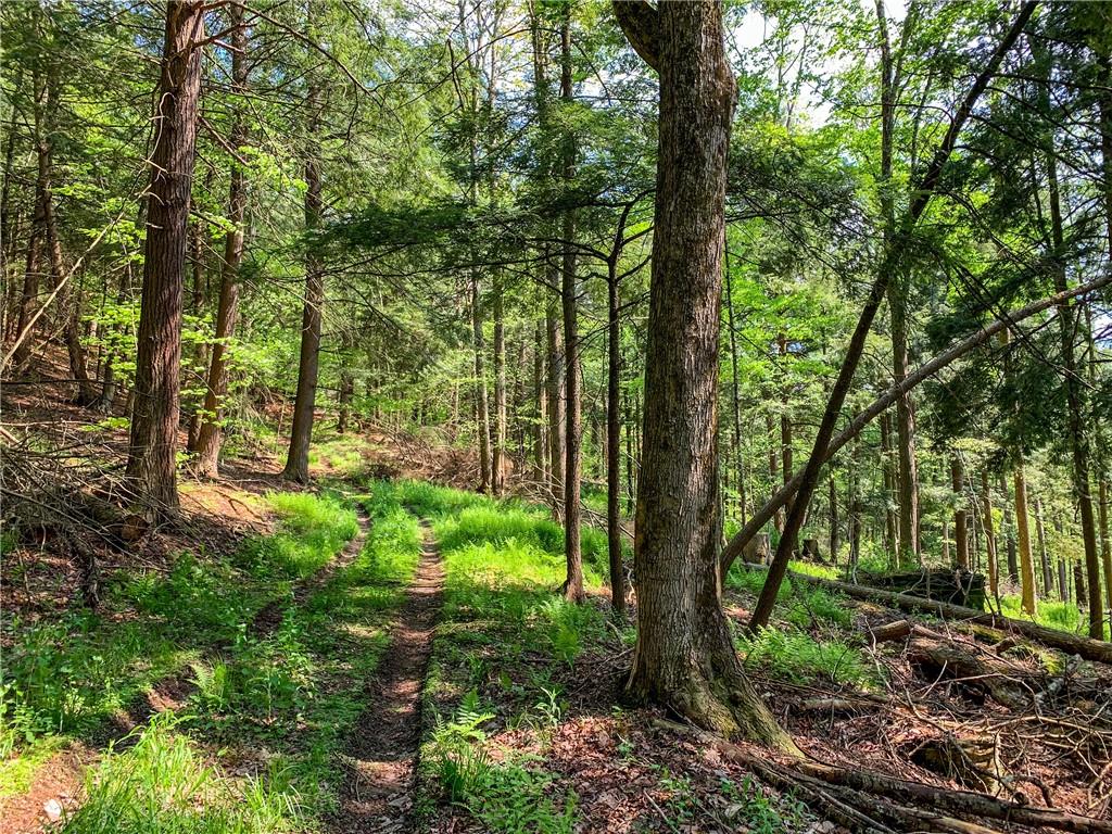 #5 photo, County Highway 44, Other , NY 13849