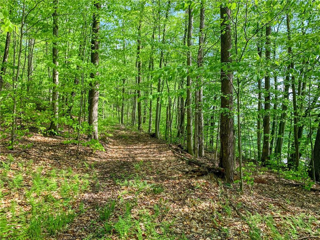 #6 photo, County Highway 44, Other , NY 13849