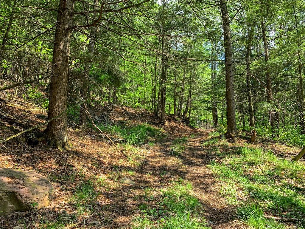 #7 photo, County Highway 44, Other , NY 13849