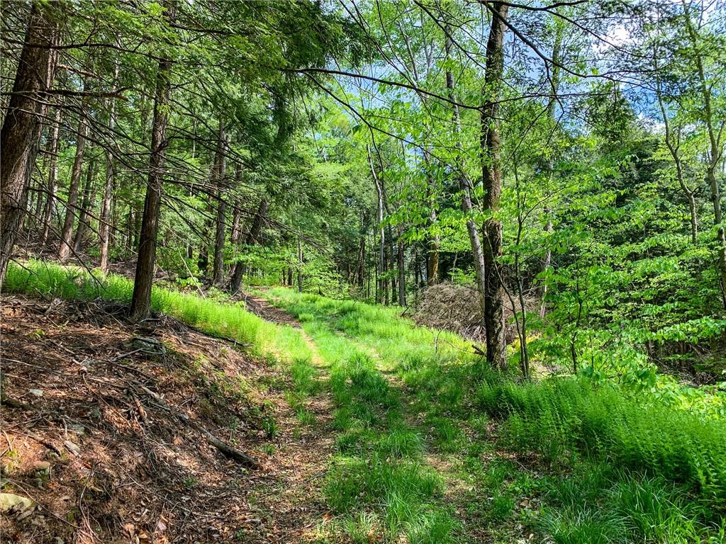 #8 photo, County Highway 44, Other , NY 13849