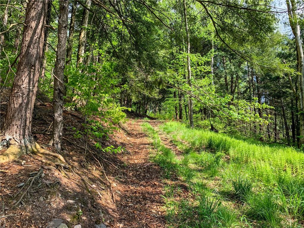 #9 photo, County Highway 44, Other , NY 13849