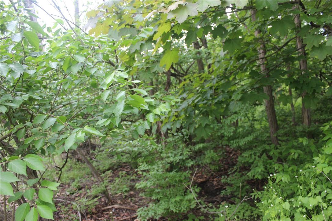 #3 photo, 30 Harding Way, Monroe , NY 10950