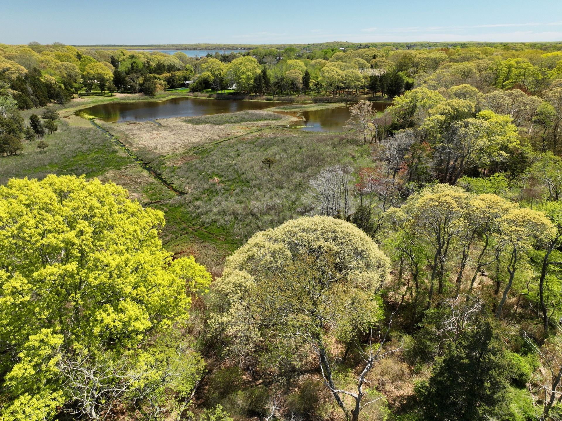 #7 photo, 214 Ferry Road, সাফোক কাউন্টি Sag Harbor , NY 11963