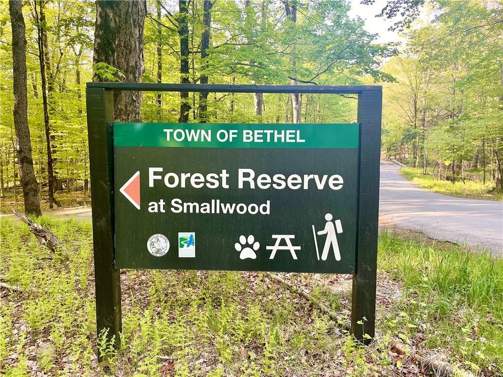 #13 photo, 32 Eldridge Street, Smallwood , NY 12778