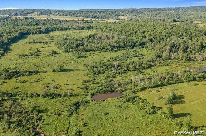 #10 photo, L8. 111 Churches Rd Ridges, 纽约州 Other , NY 12053