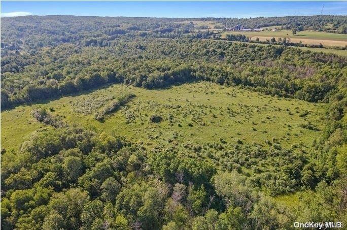 #11 photo, L8. 111 Churches Rd Ridges, 纽约州 Other , NY 12053