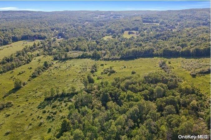 #12 photo, L8. 111 Churches Rd Ridges, 纽约州 Other , NY 12053