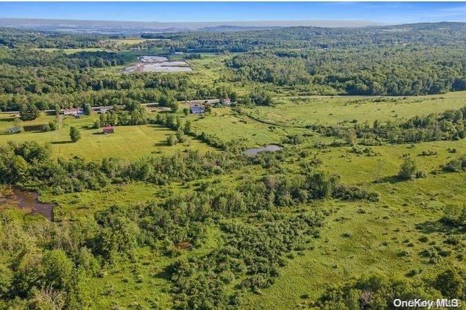#13 photo, L8. 111 Churches Rd Ridges, 纽约州 Other , NY 12053