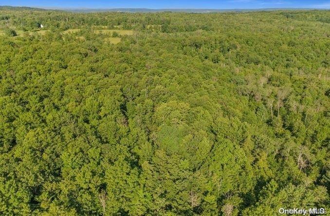 #14 photo, L8. 111 Churches Rd Ridges, 纽约州 Other , NY 12053