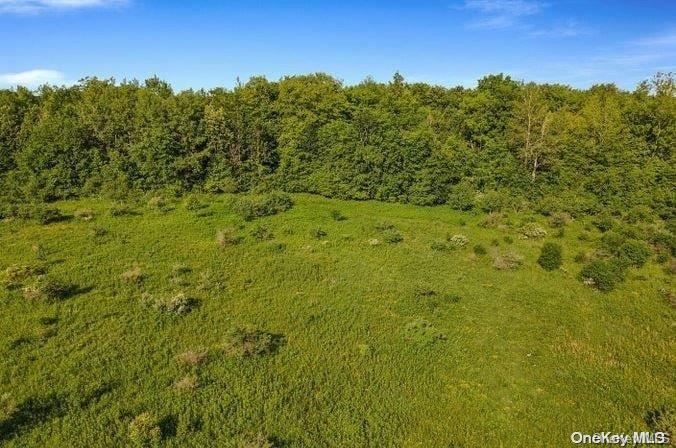 #15 photo, L8. 111 Churches Rd Ridges, 纽约州 Other , NY 12053