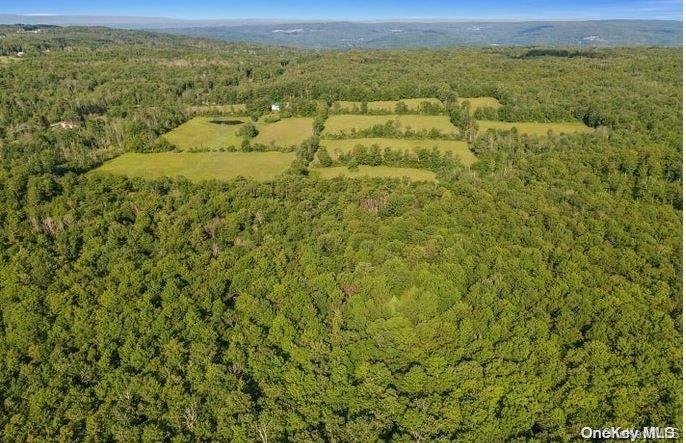 #16 photo, L8. 111 Churches Rd Ridges, 纽约州 Other , NY 12053