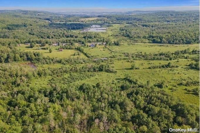 #17 photo, L8. 111 Churches Rd Ridges, 纽约州 Other , NY 12053