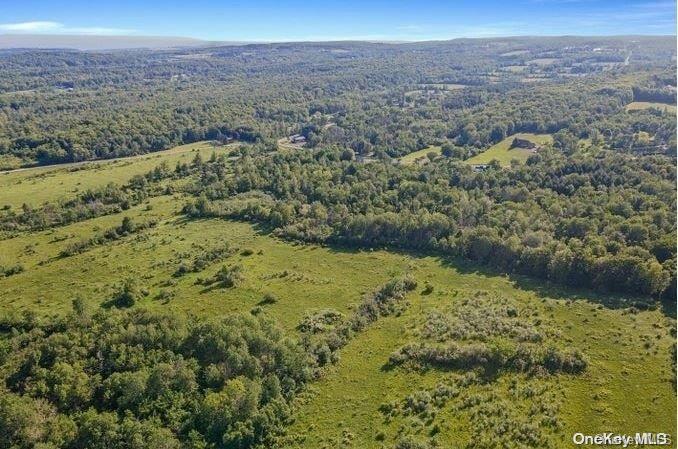 #18 photo, L8. 111 Churches Rd Ridges, 纽约州 Other , NY 12053