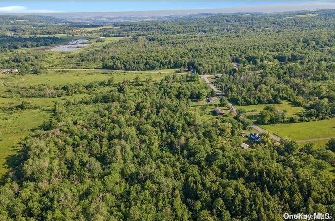 #19 photo, L8. 111 Churches Rd Ridges, 纽约州 Other , NY 12053