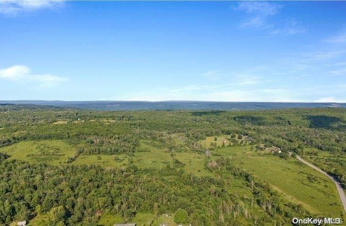 #2 photo, L8. 111 Churches Rd Ridges, 纽约州 Other , NY 12053