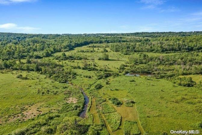 #20 photo, L8. 111 Churches Rd Ridges, 纽约州 Other , NY 12053