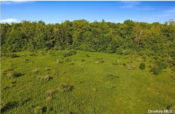 #3 photo, L8. 111 Churches Rd Ridges, 纽约州 Other , NY 12053