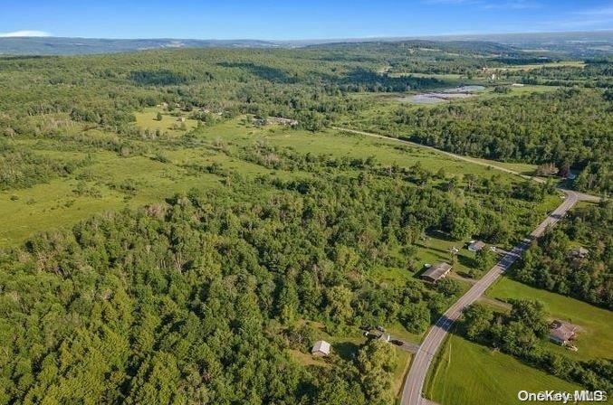 #4 photo, L8. 111 Churches Rd Ridges, 纽约州 Other , NY 12053