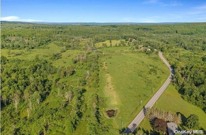 #5 photo, L8. 111 Churches Rd Ridges, 纽约州 Other , NY 12053