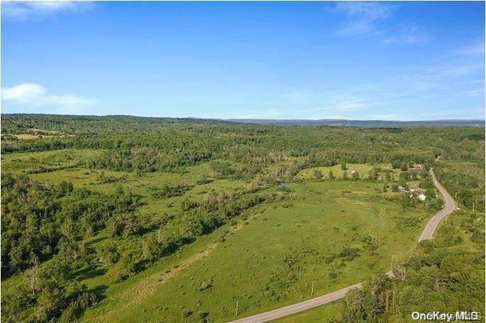 #6 photo, L8. 111 Churches Rd Ridges, 纽约州 Other , NY 12053