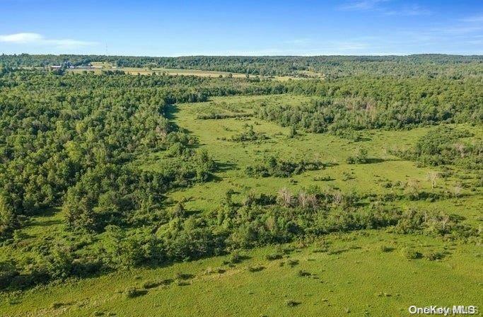 #7 photo, L8. 111 Churches Rd Ridges, 纽约州 Other , NY 12053