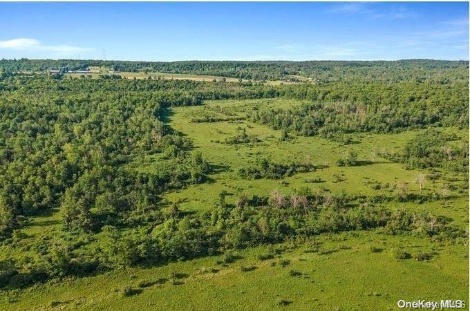 #8 photo, L8. 111 Churches Rd Ridges, 纽约州 Other , NY 12053