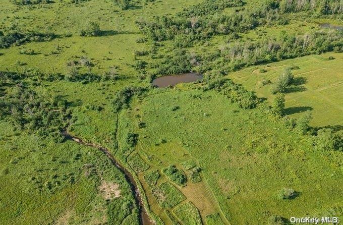 #9 photo, L8. 111 Churches Rd Ridges, 纽约州 Other , NY 12053