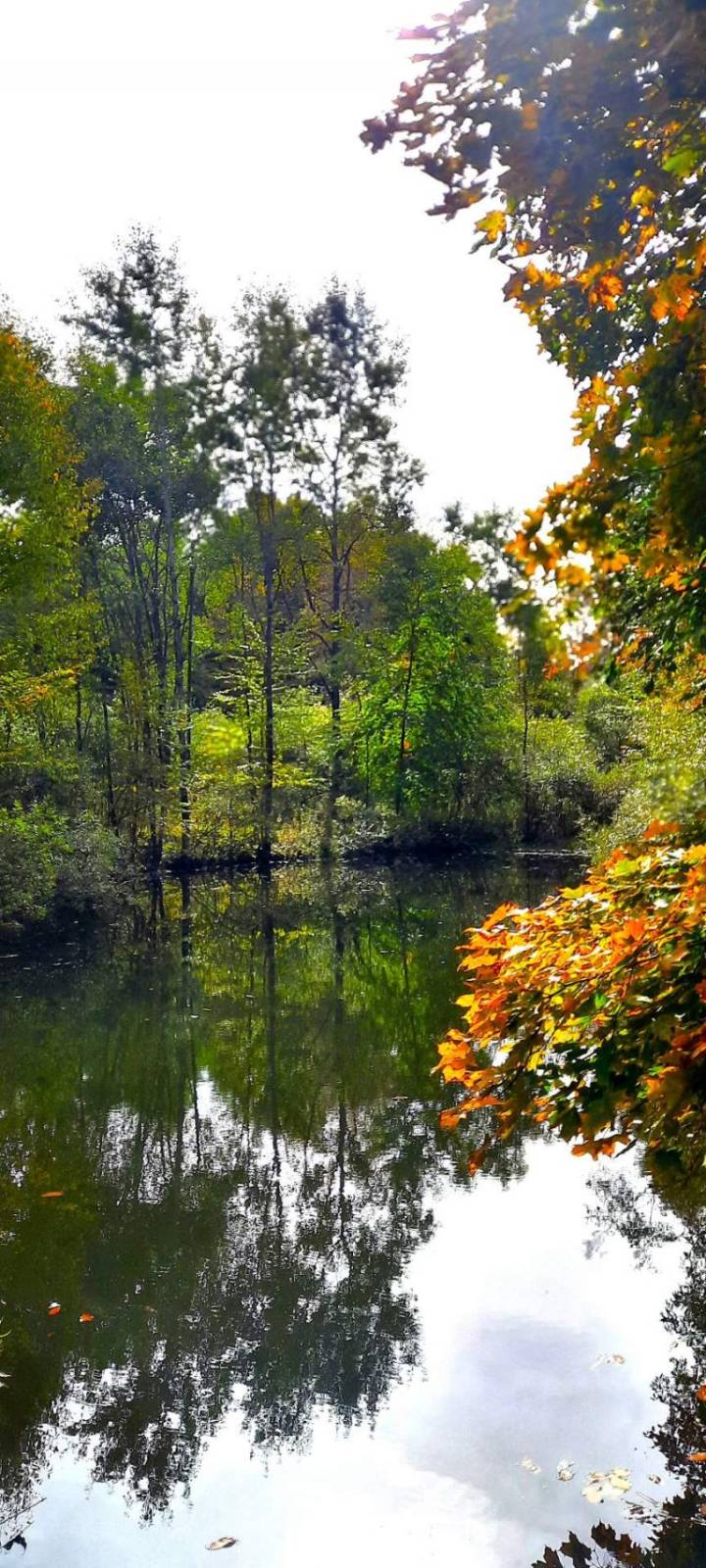 #4 photo, 3275   Launt Hollow Rd., Hamden NY , NY 13782