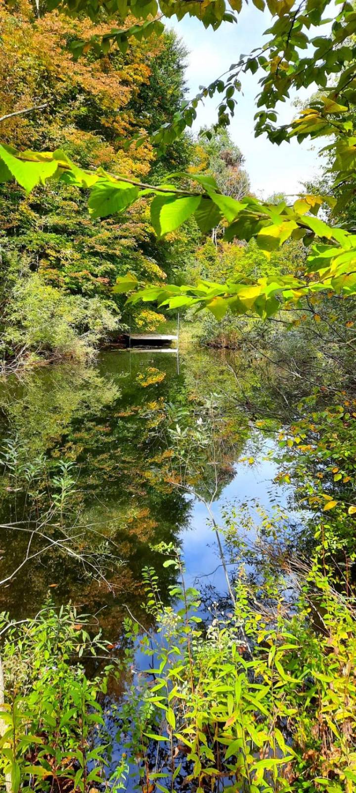 #6 photo, 3275   Launt Hollow Rd., Hamden NY , NY 13782