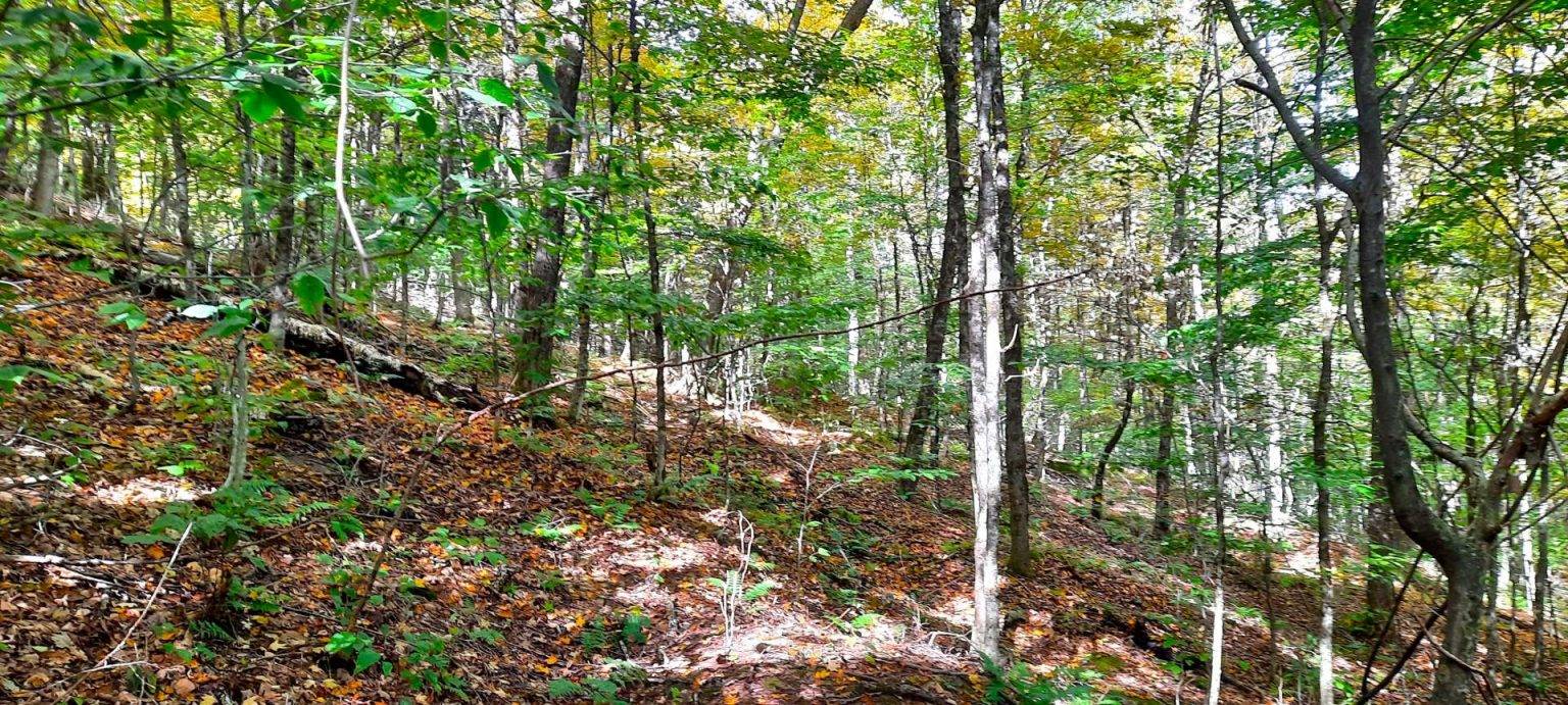 #7 photo, 3275   Launt Hollow Rd., Hamden NY , NY 13782