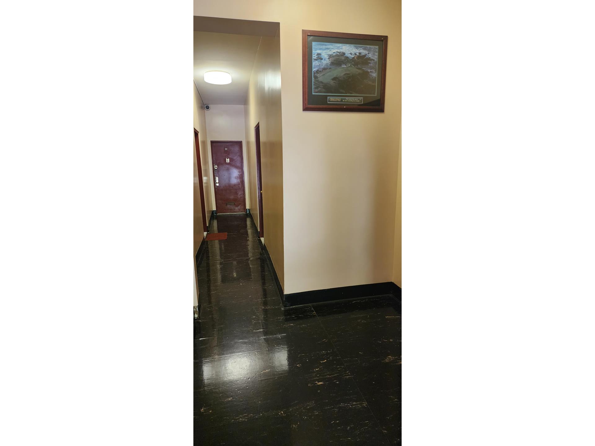 #7 photo, 767 EASTERN Parkway, ブルックリン区 Crown Heights , NY 11213