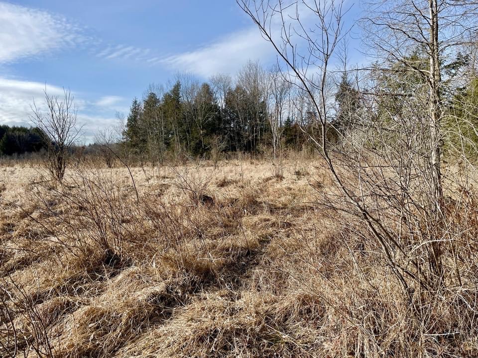 #10 photo, 202 Melick, Root , NY 13317