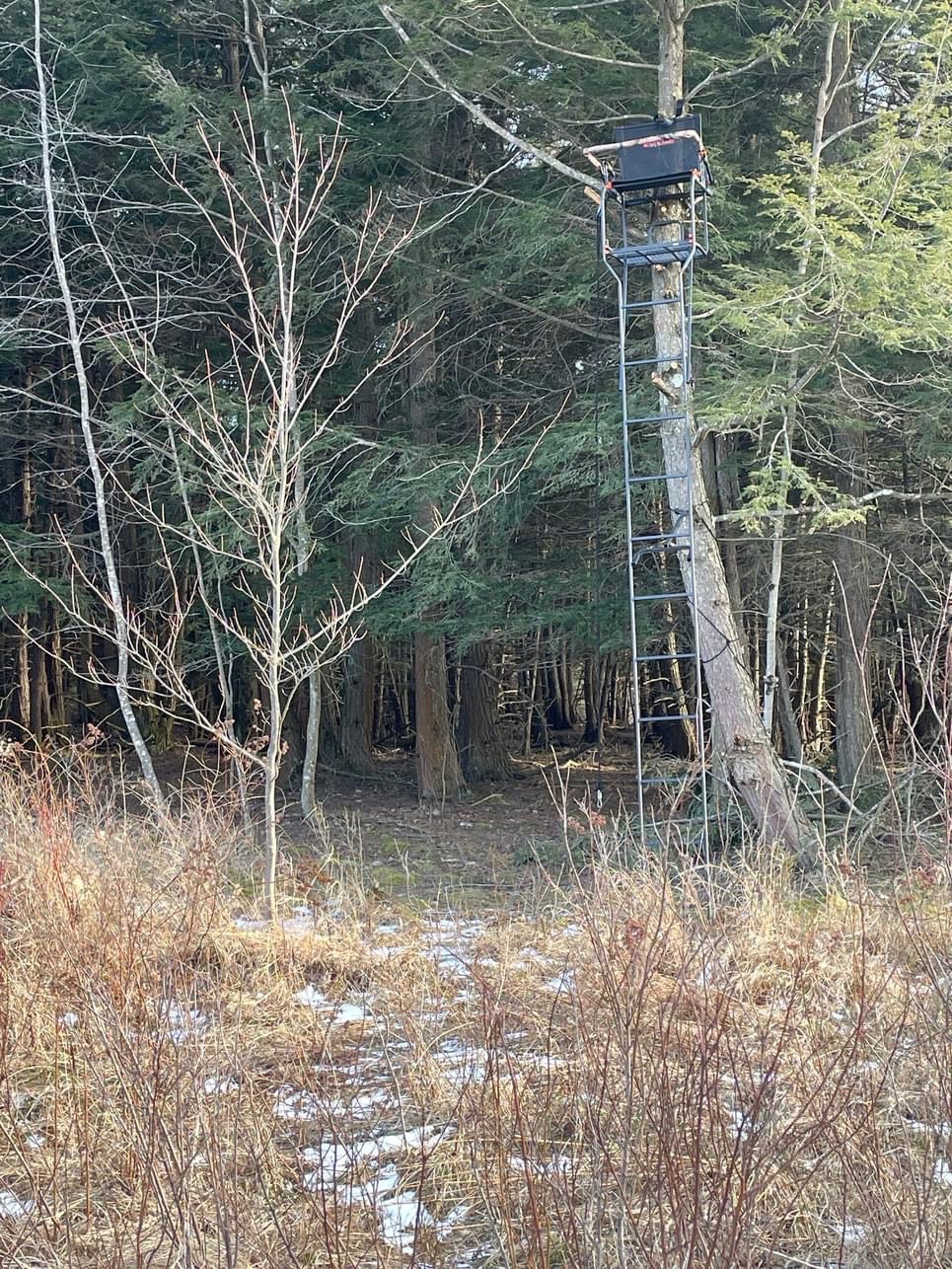 #11 photo, 202 Melick, Root , NY 13317