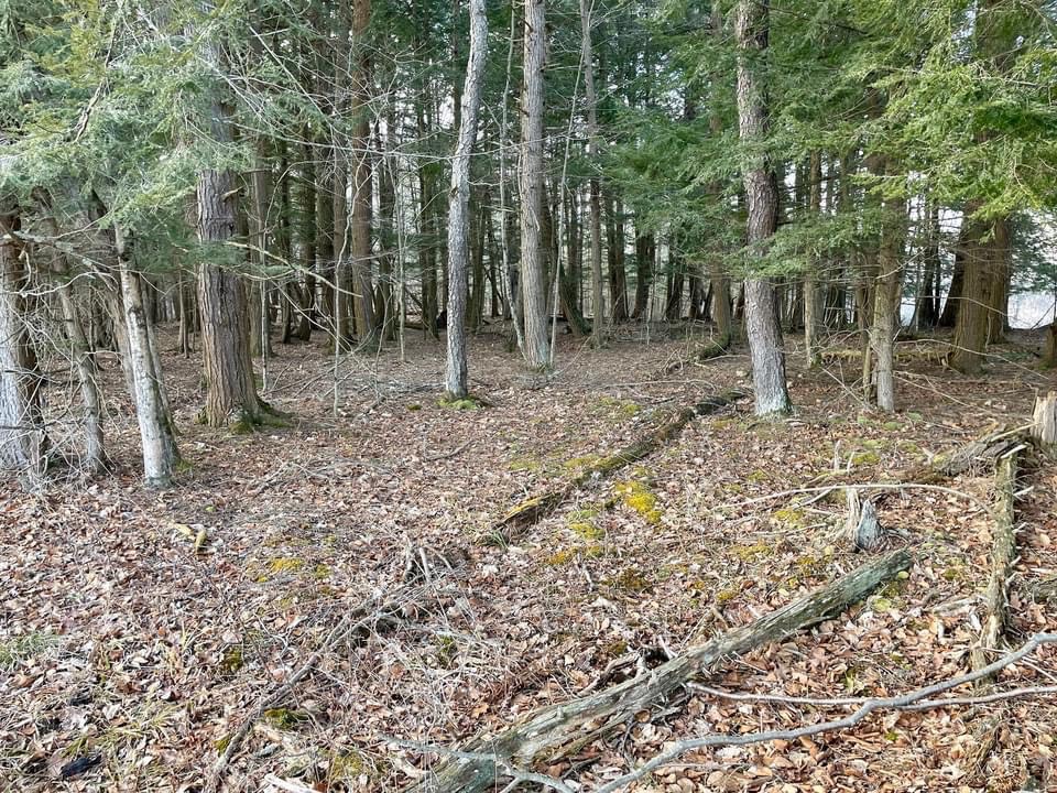 #13 photo, 202 Melick, Root , NY 13317