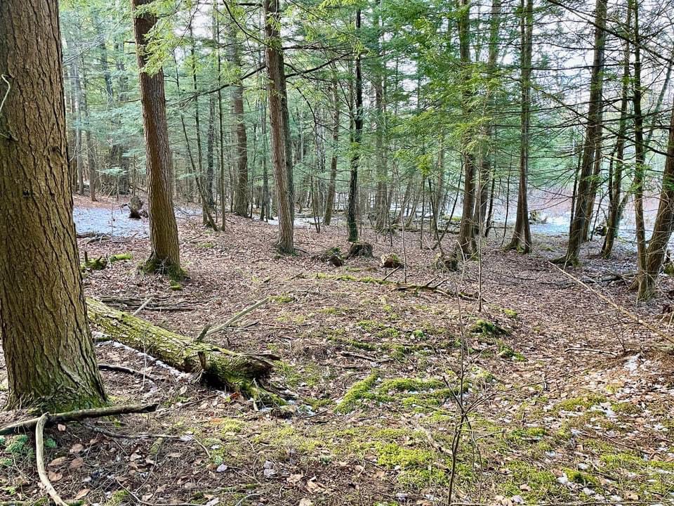 #3 photo, 202 Melick, Root , NY 13317