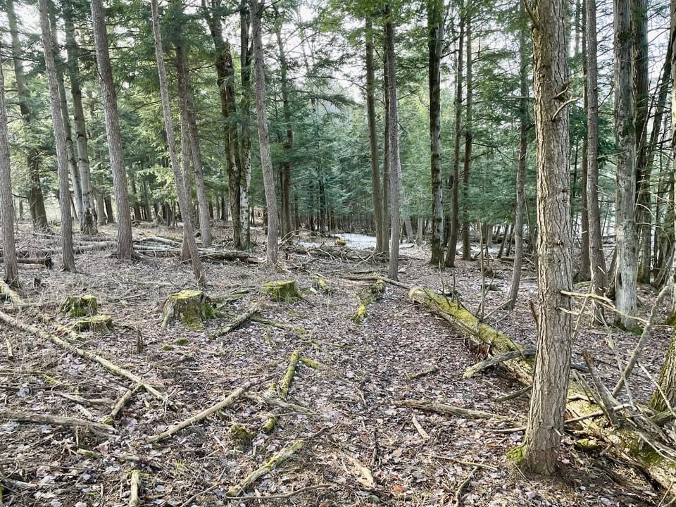 #4 photo, 202 Melick, Root , NY 13317