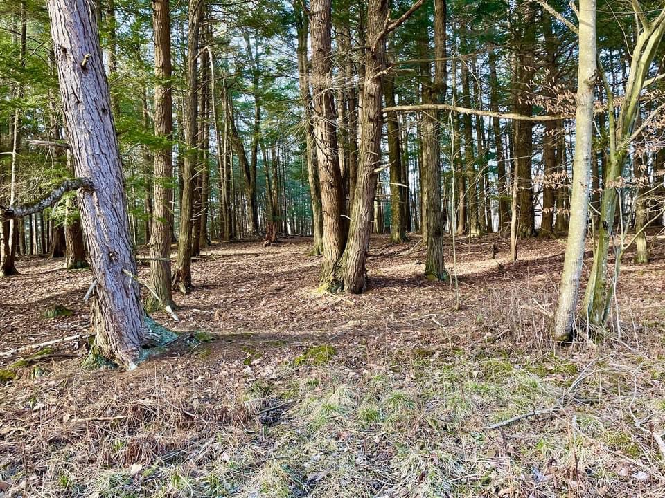 #6 photo, 202 Melick, Root , NY 13317