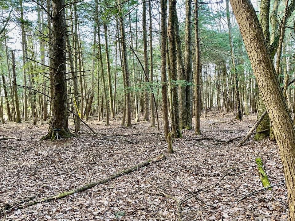 #7 photo, 202 Melick, Root , NY 13317