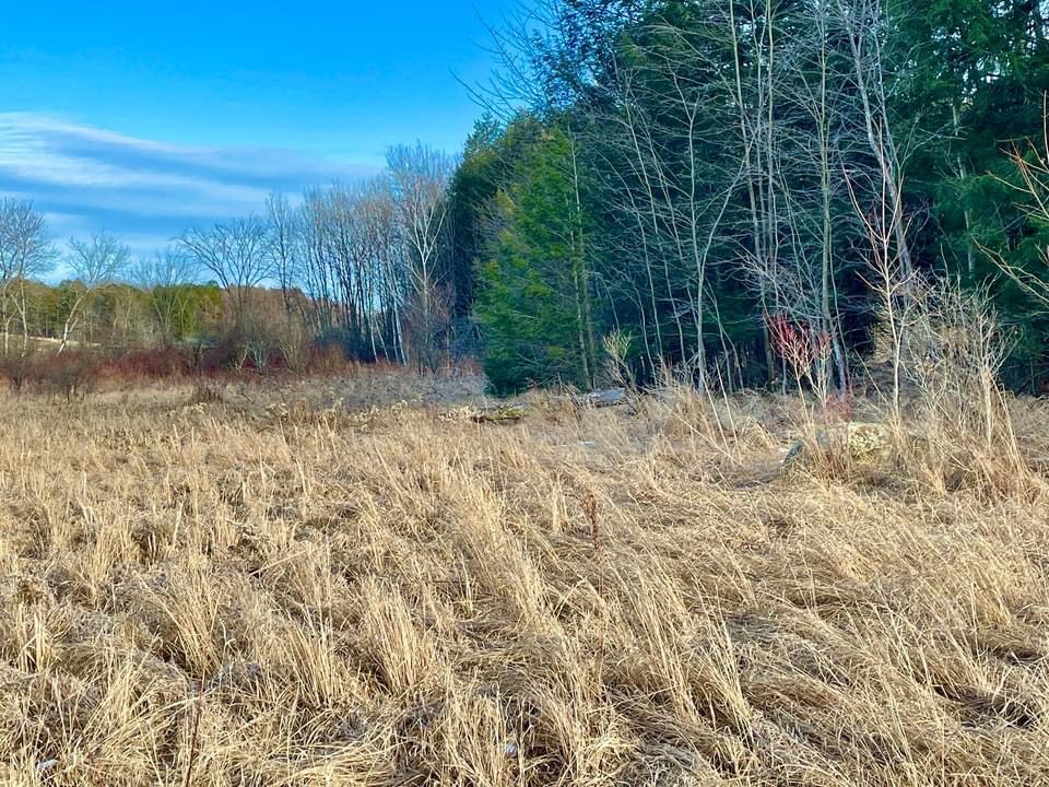 #8 photo, 202 Melick, Root , NY 13317