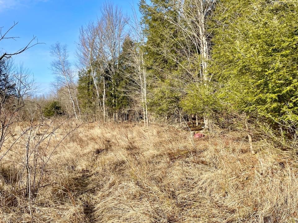 #9 photo, 202 Melick, Root , NY 13317