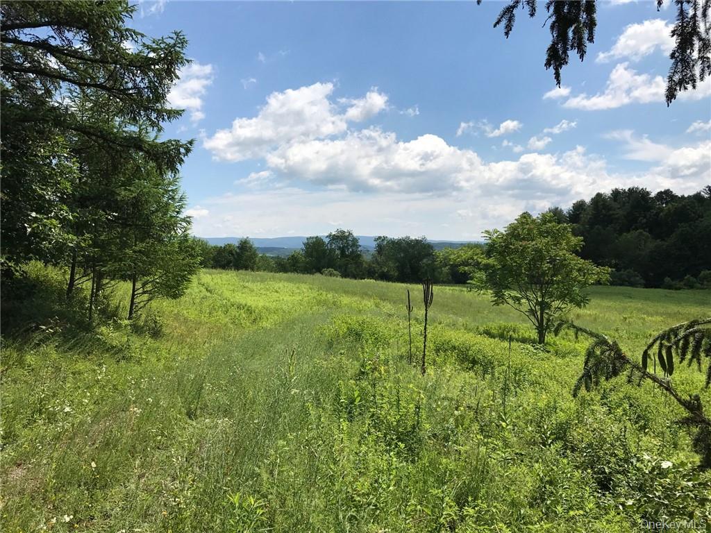 #11 photo, County rte. 7, Ancram , NY 12567