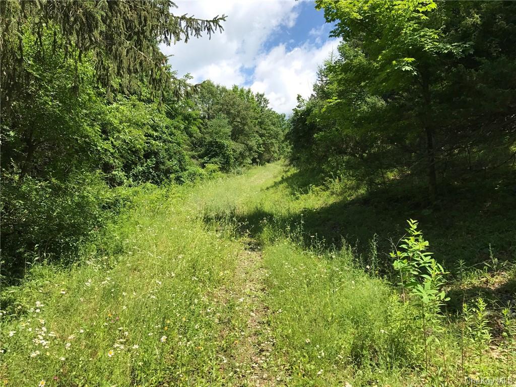 #12 photo, County rte. 7, Ancram , NY 12567