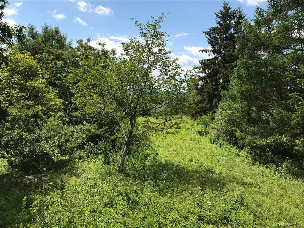 #16 photo, County rte. 7, Ancram , NY 12567