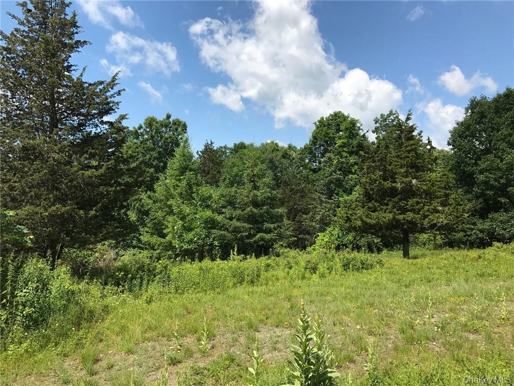 #18 photo, County rte. 7, Ancram , NY 12567