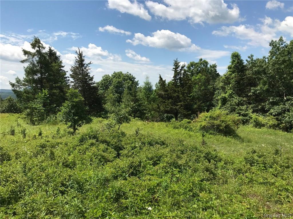 #19 photo, County rte. 7, Ancram , NY 12567