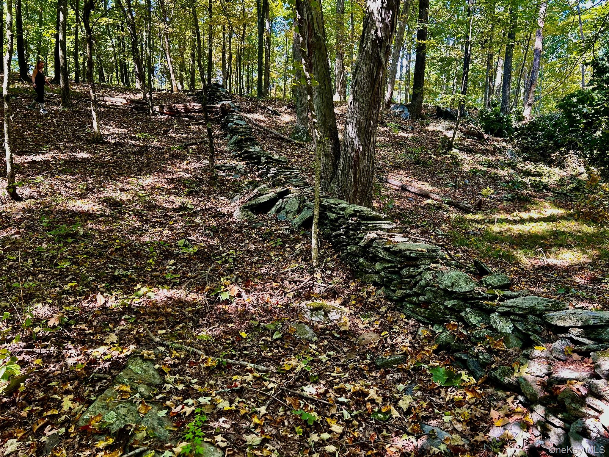 #8 photo, County rte. 7, Ancram , NY 12567