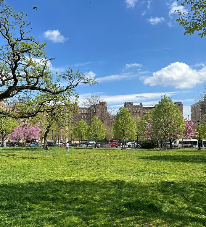 #7 photo, 299 E 161st Street, ブロンクス区 Concourse Village , NY 10451