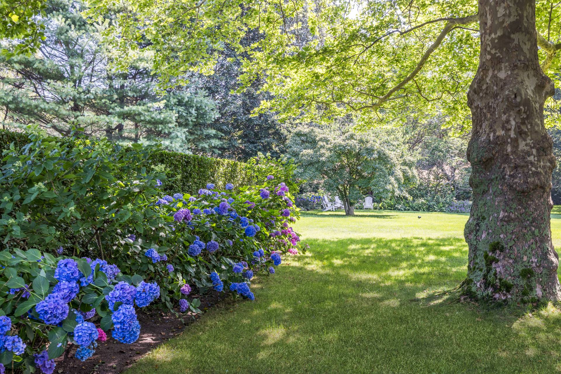 #31 photo, 19 Roberts Lane, サフォーク郡 East Hampton , NY 11937