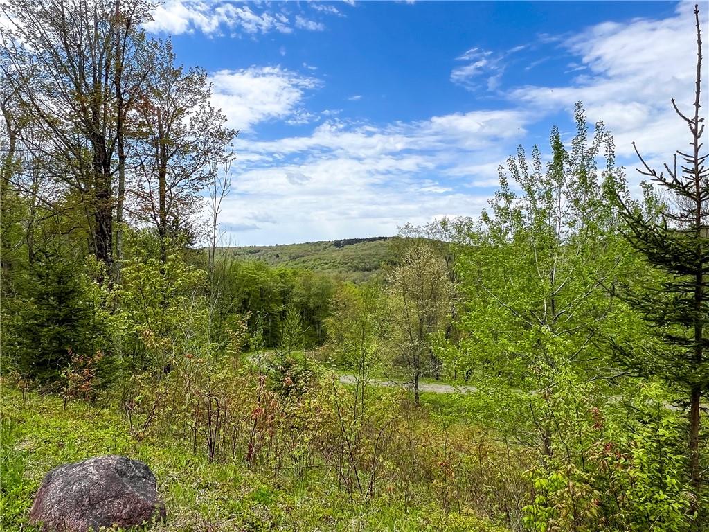 #10 photo, Rt-28, Andes , NY 13731